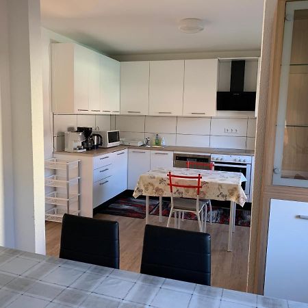 Monteurzimmer Ferienwohnung Kati Apt 1 アルプシュタット エクステリア 写真